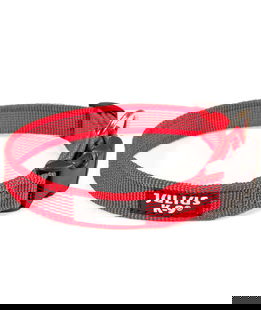 Collare Julius-K9 per cani Color & Gray