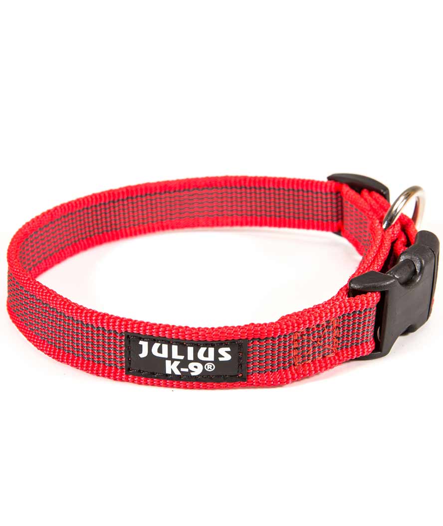 Collare Julius K9 Color & Gray per cani