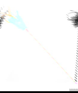 Gioco gatti stuzzicagatti piume