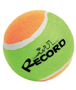 Palla da tennis extra grande per cani diametro 12,7 cm
