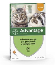 Advantage 40 soluzione spot-on  antiparassitaria per gatti fino a 4 kg di peso 4 pipette