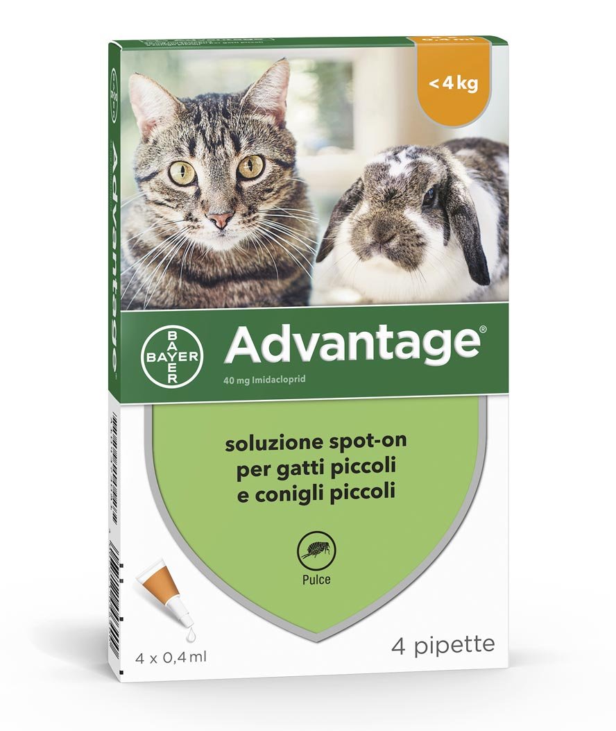 Advantage antiparassitario spot-on 4 pipette per gatti e conigli fino a 4 kg