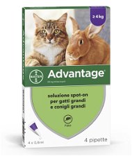 Advantage 80 soluzione spot-on antiparassitaria per gatti con peso superiore ai 4 kg 4 pipette