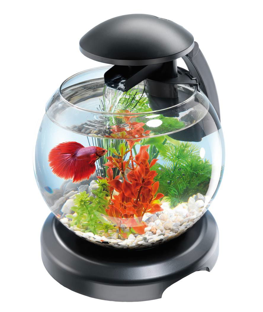 Acquario a boccia in vetro con filtro e led modello Cascade Globe Tetra 6,8 litri