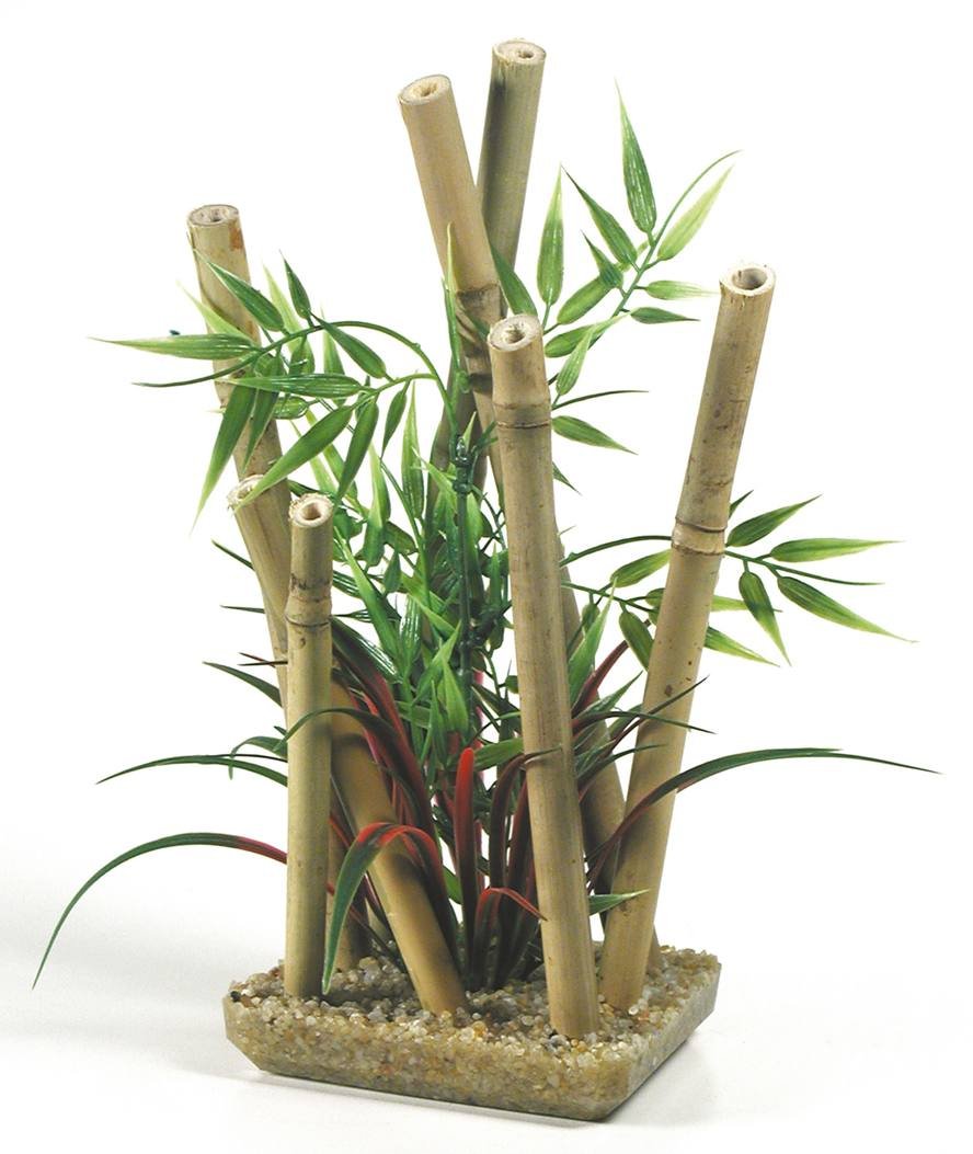 Pianta di bambù per decorazione acquari