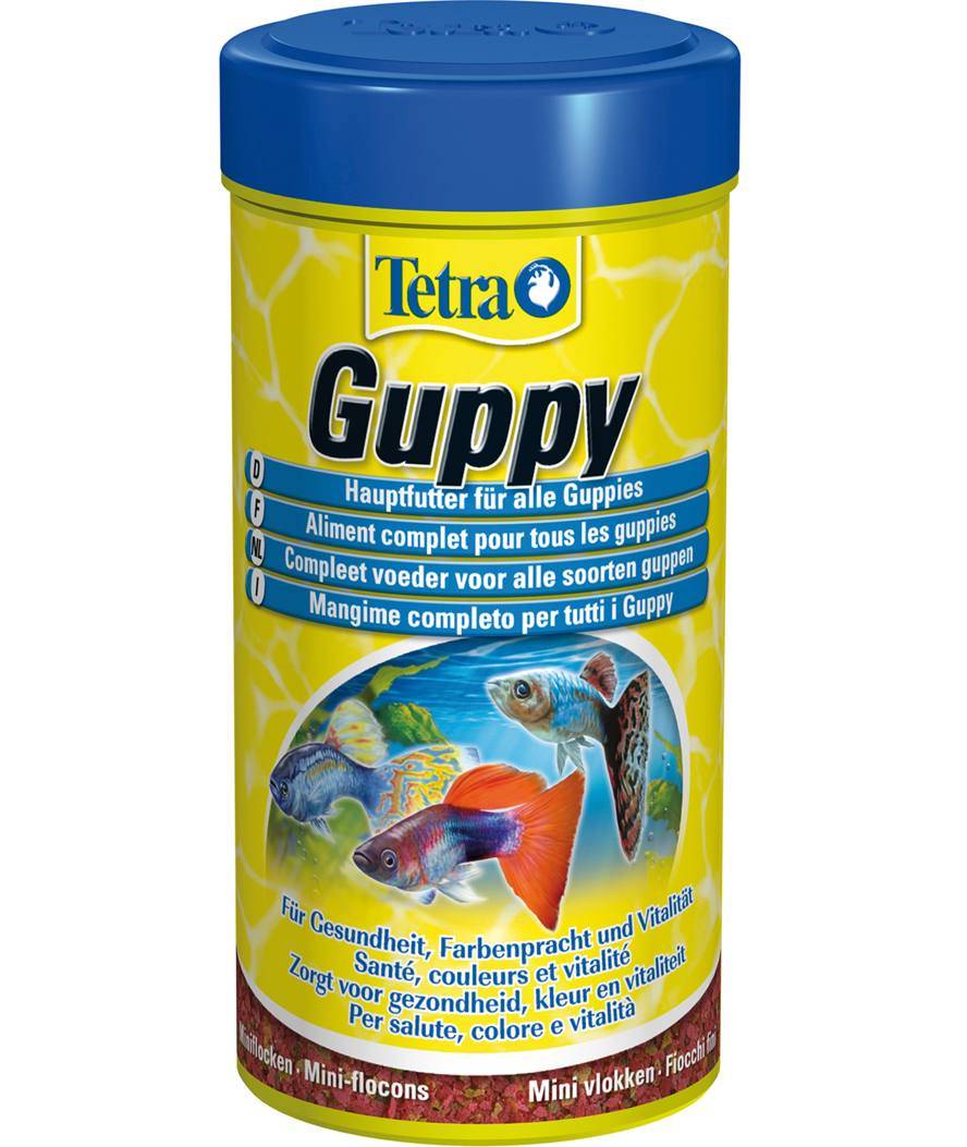 TetraGuppy mangime completo per salute colore e vitalità dei pesci Guppy 250 ml