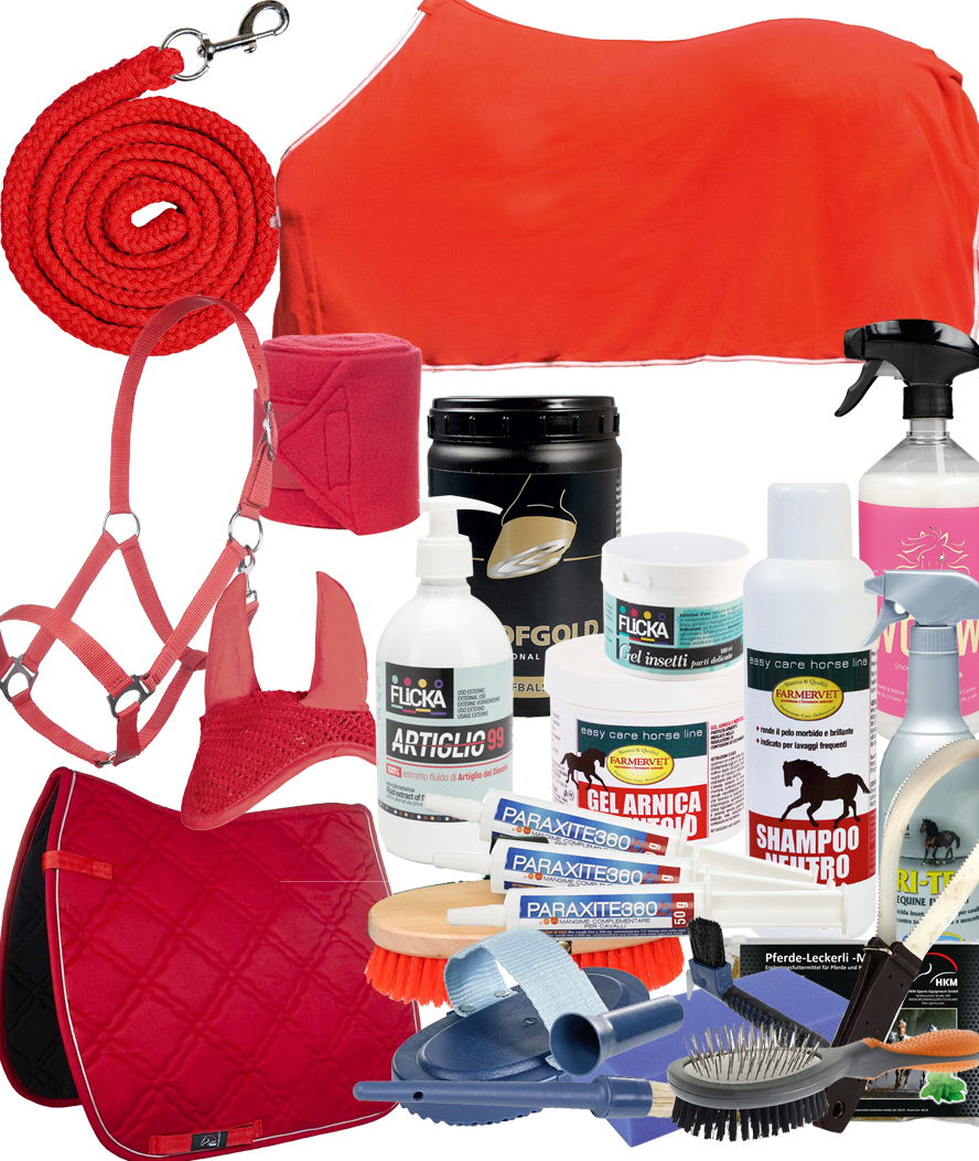 SET GRAN RISPARMIO 25 PEZZI sottosella + coperta + lunghina + cavezza + cuffia + fasce + prodotti e accessori per il benessere del cavallo