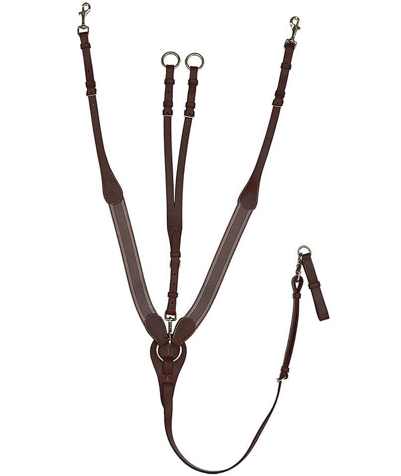 Pettorale Daslö a y con cinturini elastici e martingala regolabile