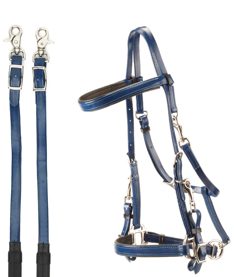 Briglia capezza inglese da endurance in PVC con redini in gomma