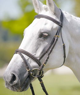 Testiera inglese cavallo allergico cuoio