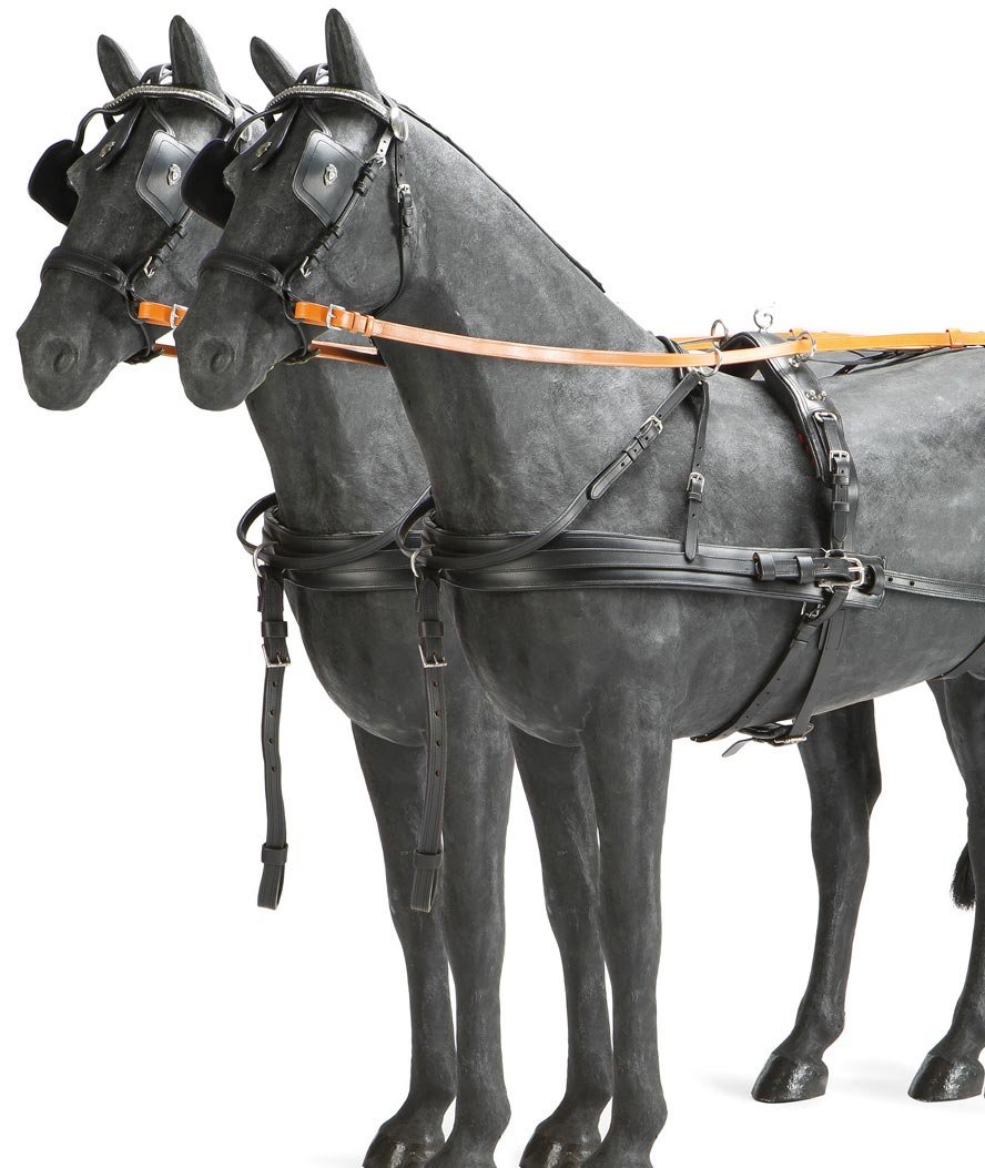 Finimento a pariglia per cavalli in cuoio doppio con rinforzo in nylon - foto 1