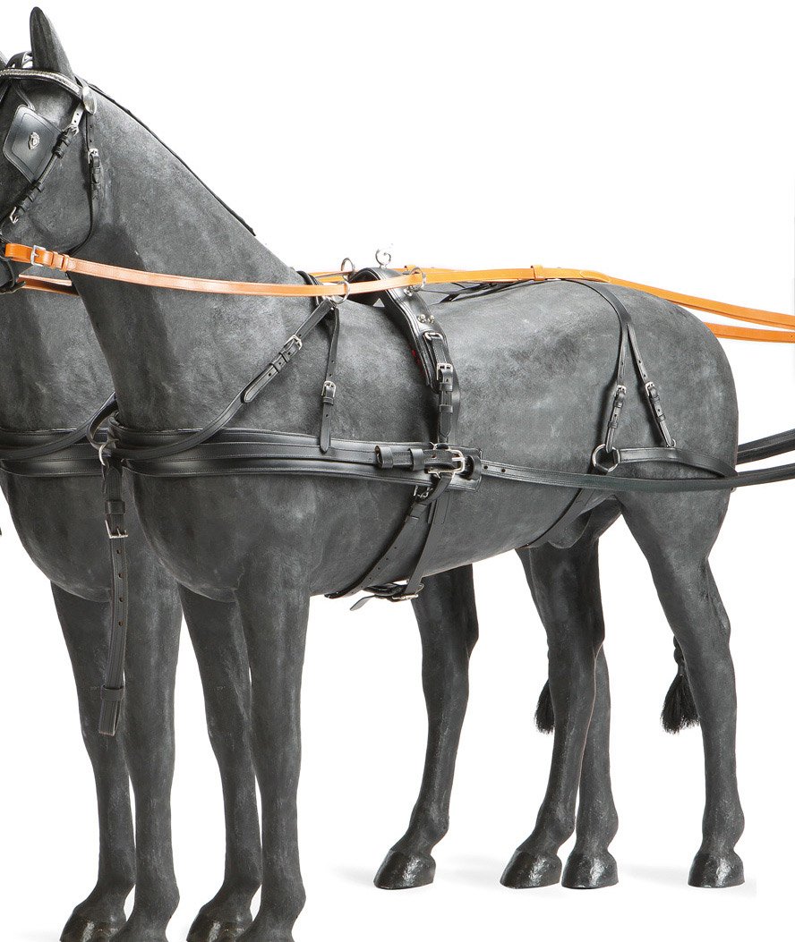 Finimento a pariglia per cavalli in cuoio doppio con rinforzo in nylon - foto 2