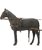 Finimento singolo per cavalli completo in cuoio pregiato ingrassato rinforzato in nylon
