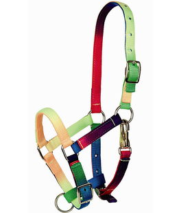 Capezza Tattini in nylon doppio multicolore da PULEDRO