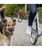 Biker-set a U per agganciare il cane e distanziarlo - foto 2