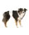 Pannolini a fascia per cani maschi Offerta Multipack confezione risparmio - foto 2