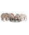 Junior ciotola per cuccioli in acciaio inox 4.0l diametro 38cm - foto 1