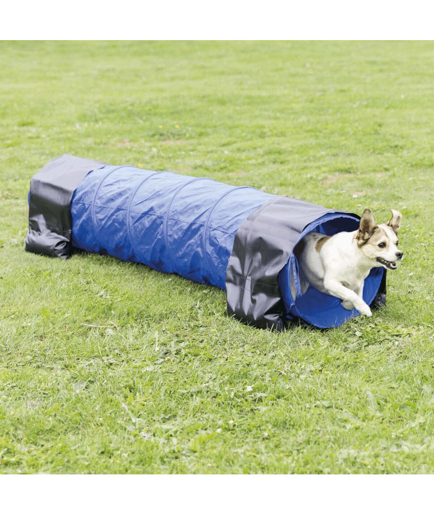 Tunnel agility dog diametro 40cm/2m colore blu - foto 4