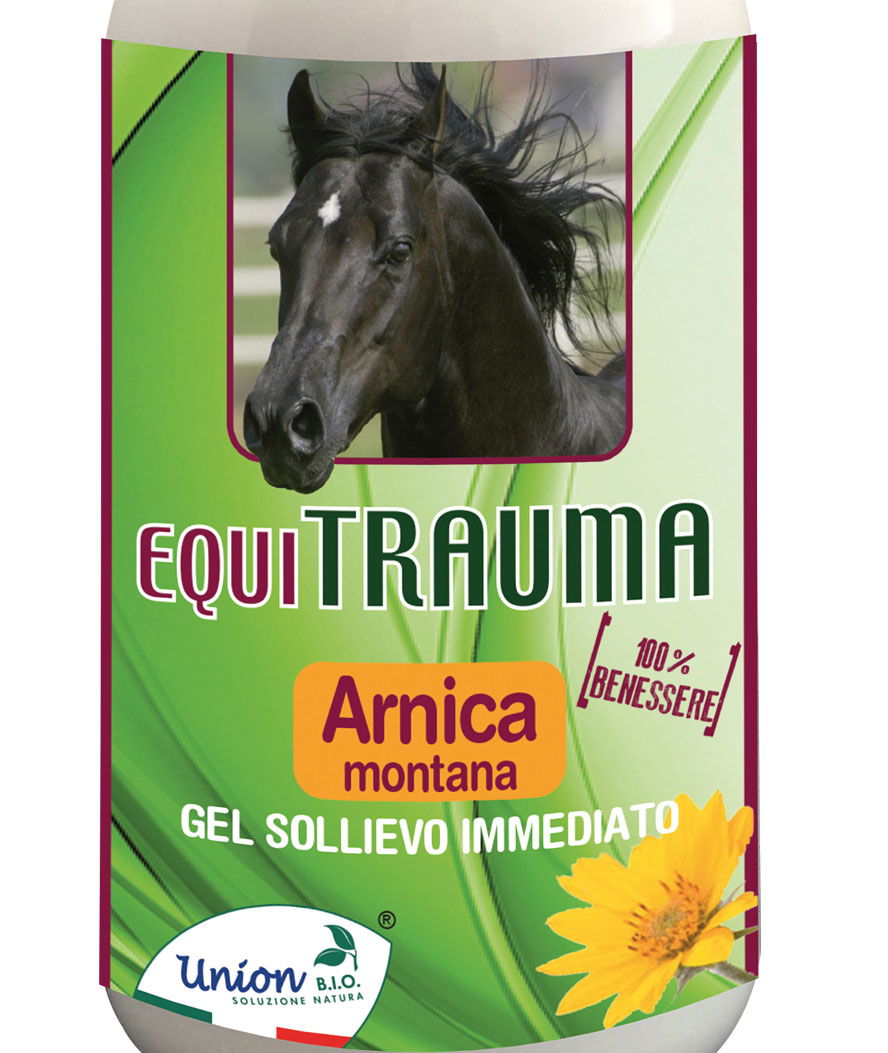 EQUI TRAUMA Gel naturale all'Arnica utile per defaticare muscoli, tendini e  articolazioni post lavoro per cavalli - NonsoloCavallo