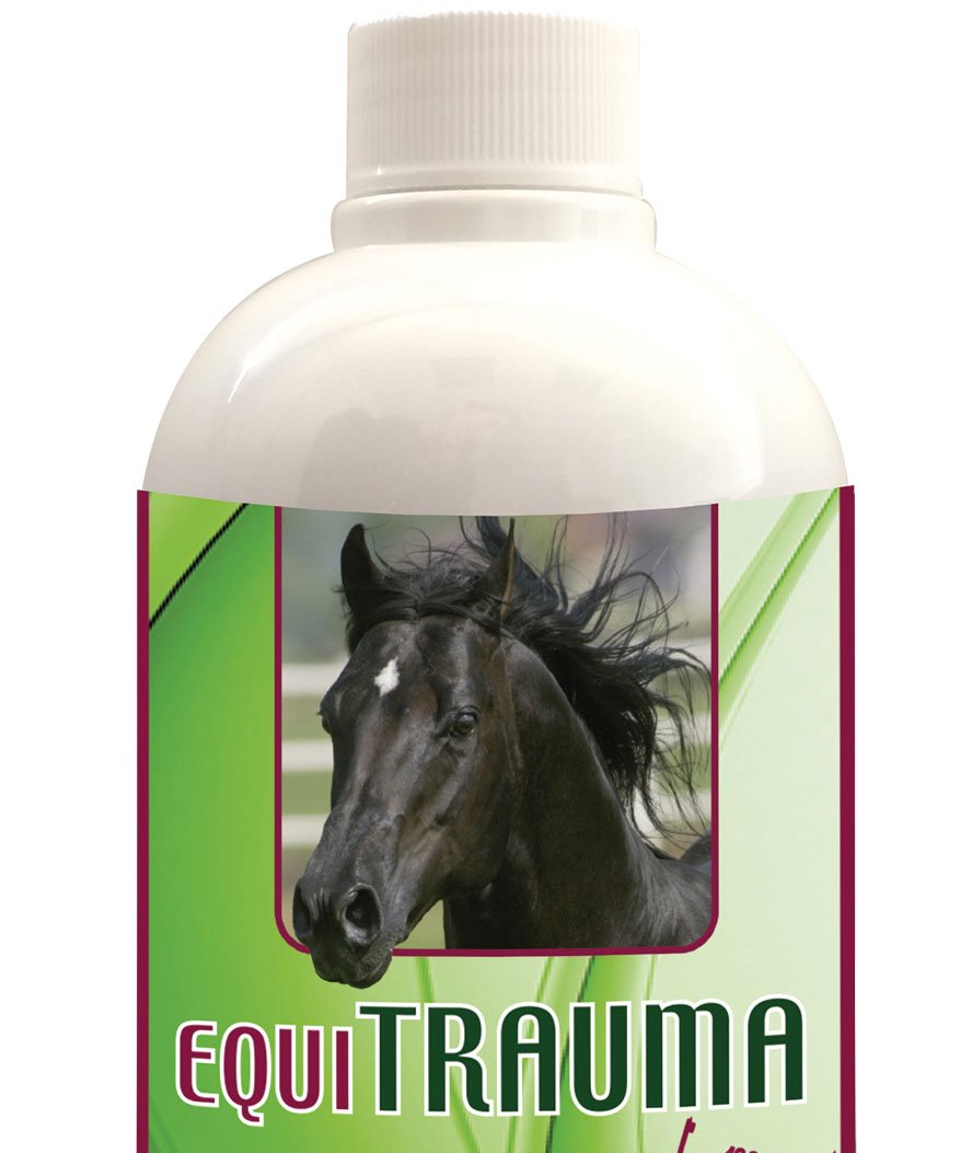 EQUI TRAUMA Gel naturale all’Arnica utile per defaticare muscoli, tendini e articolazioni post lavoro per cavalli - foto 2